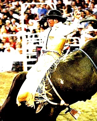 Pbr - Professional Bull Riders Los Angeles
